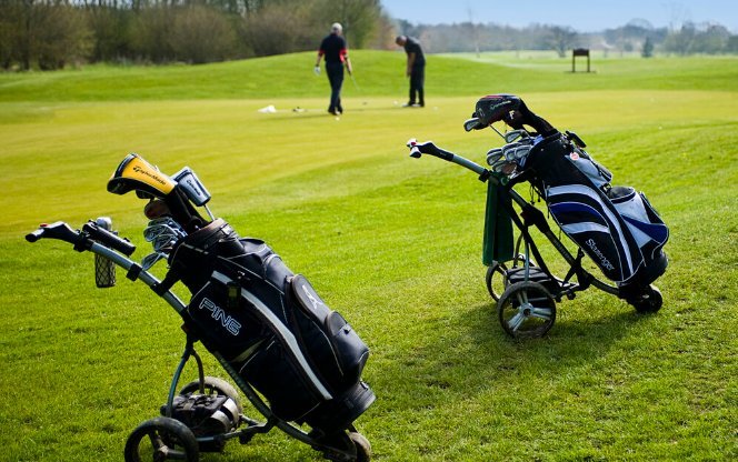 Two golf bags on a trolley with players putting in the distance